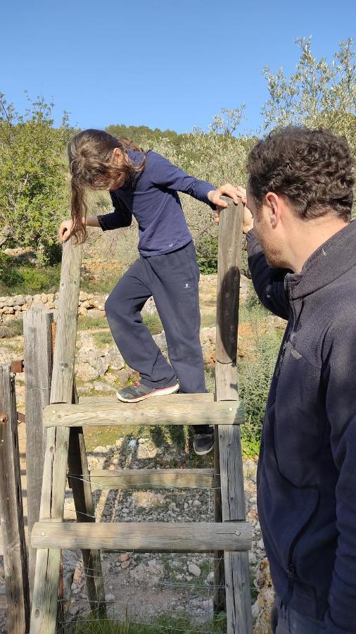 סולר Villa Ideal מראה חיצוני תמונה